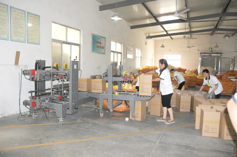 Packing area with cartons and sealing equipment