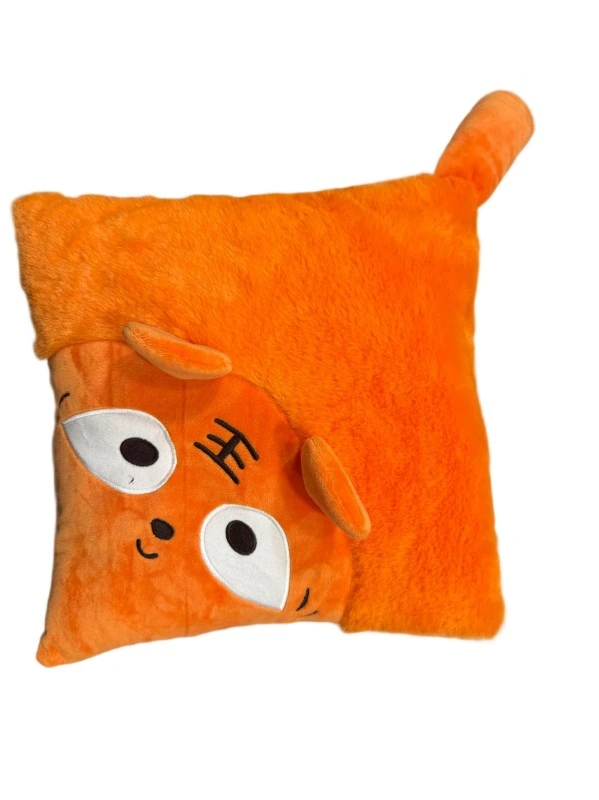 Orange cushion with corner character — WB2-047